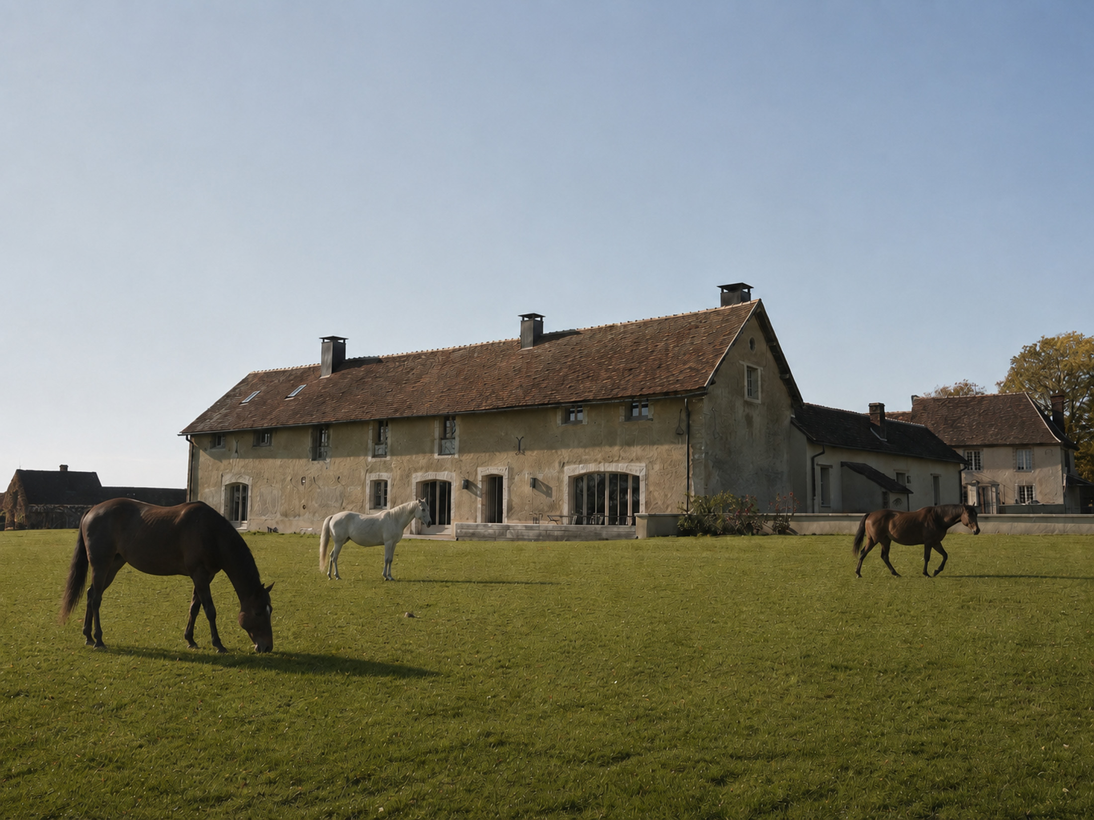 Domaine de N.